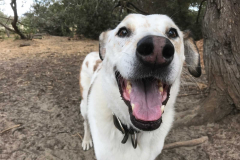 42362A93-65D3-4242-BED9-733660034776