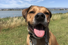 Photo-Jun-04-2-42-12-PM