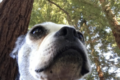 Photo-Jun-10-4-46-34-PM-e1536031650744