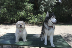 Photo-May-09-2-17-38-PM